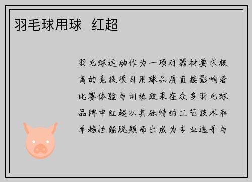 羽毛球用球  红超