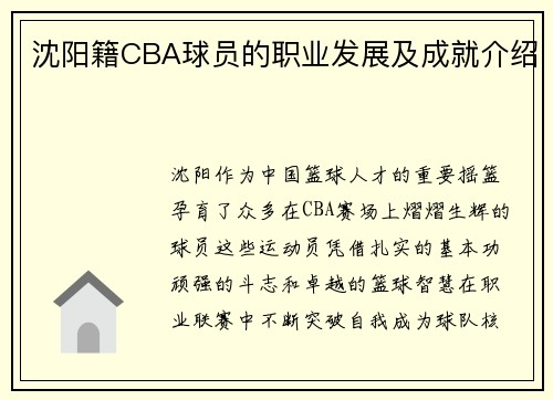 沈阳籍CBA球员的职业发展及成就介绍